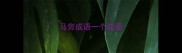 马旁成语一个成语