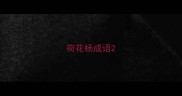 荷花杨成语