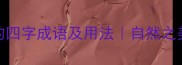 20个含花字的四字成语及用法自然之美与人文智慧