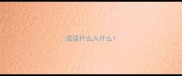 成语什么入什么