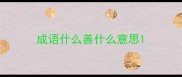 成语什么善什么意思