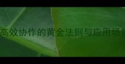 遥相呼应职场沟通法高效协作的黄金法则与应用场景附12个实战案例