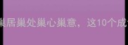 巢字成语全巢居巢处巢心巢意这10个成语你用过几个