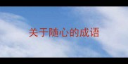 关于随心的成语