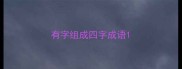 有字组成四字成语
