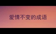 爱情不变的成语