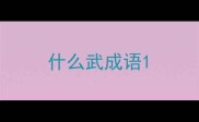 什么武成语