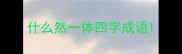 什么然一体四字成语