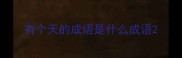 有个天的成语是什么成语