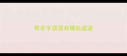 带衣字成语有哪些成语