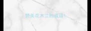 赞美花木兰的成语