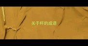 关于杆的成语