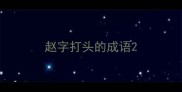赵字打头的成语
