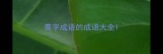 畏字成语的成语大全