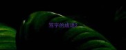 笃字的成语