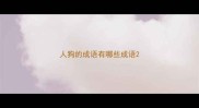 人狗的成语有哪些成语
