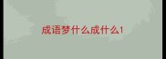 成语梦什么成什么