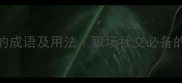 50个表达荣幸的成语及用法职场社交必备的礼貌用语指南