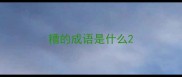糟的成语是什么