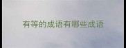 有等的成语有哪些成语