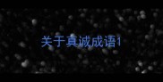 关于真诚成语