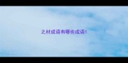 之材成语有哪些成语