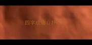 四字成语扑