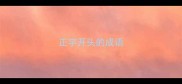 正字开头的成语