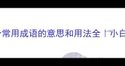 必看100个常用成语的意思和用法全小白秒变成语达人