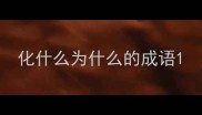 化什么为什么的成语