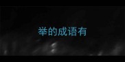 举的成语有