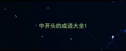 中开头的成语大全