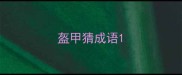 盔甲猜成语