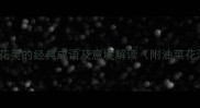 10个形容油菜花美的经典成语及意境解读附油菜花海摄影技巧