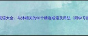 四字成语大全与沐相关的50个精选成语及用法附学习指南