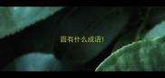 圆有什么成语