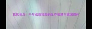 狐死首丘千年成语背后的生存智慧与家国情怀