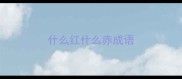 什么红什么赤成语