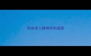 形容老人精神好的成语