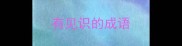 有见识的成语