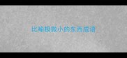 比喻极微小的东西成语