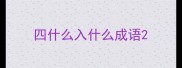 四什么入什么成语