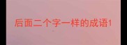 后面二个字一样的成语