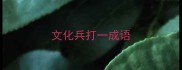 文化兵打一成语