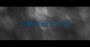 步哪些成语大全