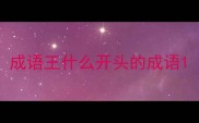 成语王什么开头的成语
