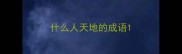 什么人天地的成语