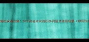 水花四溅的成语合集20个形容水花的四字词语及使用场景附写作技巧