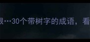 树大招风叶落归根30个带树字的成语看完秒变语文课代表