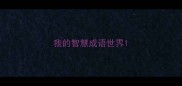 我的智慧成语世界